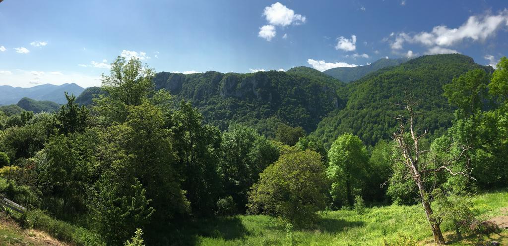 Gite De Serrelongue Montségur Esterno foto